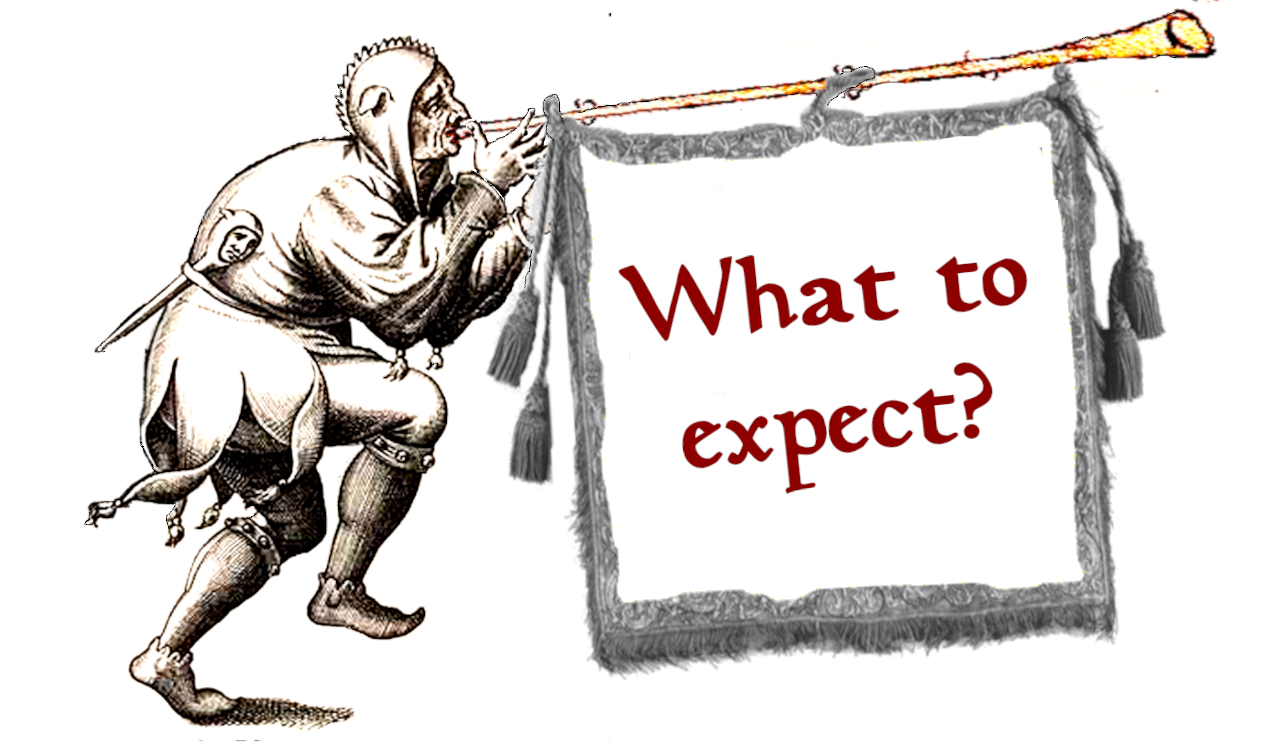 Snook What to Expect link
